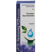 Reckeweg R25 Prostatan Tropfen Flasche 50ml buy online