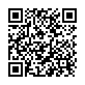 QR Seitenfaltbeutel Pm No 302 2500 Stück buy online