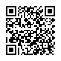 QR Plastic Tragtaschen mit Kreuz Pm 500 Stück buy online