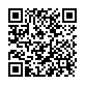 QR Toutext paper carrier bags neutral GM 500 pcs