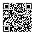 QR Pc 30 V Lösung Flasche 250ml buy online