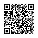 QR Susi Windeleinlagen 80 Stück buy online