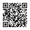 QR Pean Catheter Clamp 14cm Straight buy online