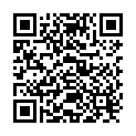 QR Lysoform Desinfektion Konzentrat 500ml buy online