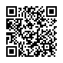 QR Sidroga Pfefferminzblätter Tee 20 Beutel buy online