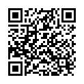 QR Sidroga Frauenmänteli Tee Beutel 20 Stück buy online