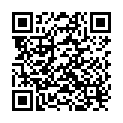 QR Sidroga Schachtelhalm Tee Beutel 20 Stück buy online