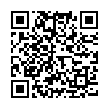 QR Braun Injektionsspritze 2ml Luer 2-teilig Zentrisch 100 Stück buy online