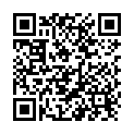 QR Paro Solidox Zahnholz Mittel Doppelendig 96 Stück buy online
