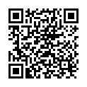 QR Delu Kochplattenputzlinge 3 Stück buy online