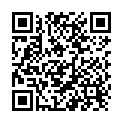 QR Paro Isola Long 5mm Fein Grün zylindrisch 10 Stück buy online