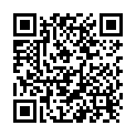 QR Hagerty Shampoo Schaum Aeros Spray 600ml buy online