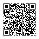 QR Hagerty Silver Gloves Silver glove 1 pair buy online