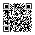 QR Pioneer Teebaumoel Essenz 20ml buy online