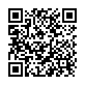 QR Sanotint Hair colour 04 light brown buy online