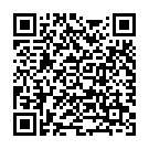QR FS Nährshampoo mit Brennessel Extrakt Flasche 200ml buy online