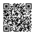QR Braun Heidelberg Verlängerung 75cm L Lock buy online