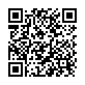 QR Braun Heidelberger Verlängerung 140cm L Lock buy online