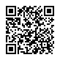 QR Morga Magentee mit Hülle Beutel 20 Stück buy online