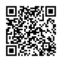 QR Morga Blasentee Beutel 20 Stück buy online