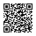 QR Vepolin Lederpflege 300ml buy online