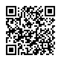 QR Zetuvit Absorptionsverband 20x40cm Steril 5 Stück buy online