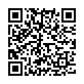 QR Stahlwolle 2 Feingrob 250g buy online