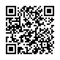 QR Stahlwolle 4 Grob 250g buy online