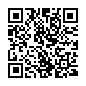 QR Pe Handschuhe Mittel Beutel 100 Stück buy online