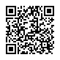 QR Pe Handschuhe Gross Beutel 100 Stück buy online