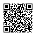 QR Dixa Equiseti Herba Conc Pheur 1kg buy online