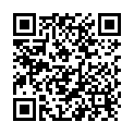 QR Hausella Dental-Box mit Einsatz Türkis buy online