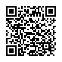 QR Boerlind Dekorativ Spitzer buy online