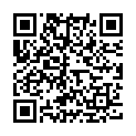 QR Mellerud Teppich Fleck Entferner 500ml buy online