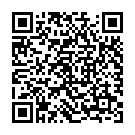 QR Assura Basisplatte 40/60mm Guertelbefest 5 Stück buy online