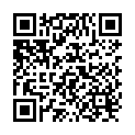 QR Heidak Teeli Netz 100 Stück buy online