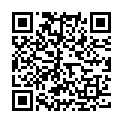 QR Stawo American Stahlwatte 15 Stück buy online