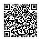 QR Mainardi Bernstein Babykette Farbig 32cm Silberverschluss buy online