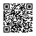 QR Dafilon 45cm Blau Dose 16 4-0 12 Stück buy online