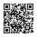 QR Dafilon 45cm Blau Dose 16 5-0 12 Stück buy online