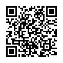 QR Dafilon 45cm Blau Dose 19 3-0 12 Stück buy online