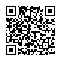 QR 3M Littmann Stethoskop Mast Clasii Burgund buy online