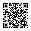 QR Praemeta Stauer Kompl Grün buy online