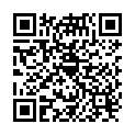 QR Praemeta Stauer Ersatzband Grün buy online