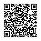 QR Assistent Objekttraeger Elka Matt Unbekant 50 Stück buy online