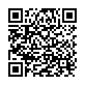 QR Assistent Rührstab 150x6mm Glas 100 Stück buy online