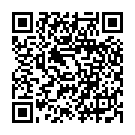 QR Assistent Spritzflasche Poly 100ml Gebogene Spitze buy online