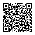QR Assistent Spritzflasche Poly 1000ml Gebogen Spitze buy online