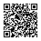 QR Assistent Spritzflasche Poly 250ml Gebogene Spitze buy online