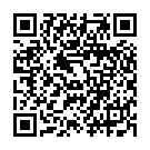 QR Assistent Spritzflasche Poly 500ml Gebogene Spitze buy online